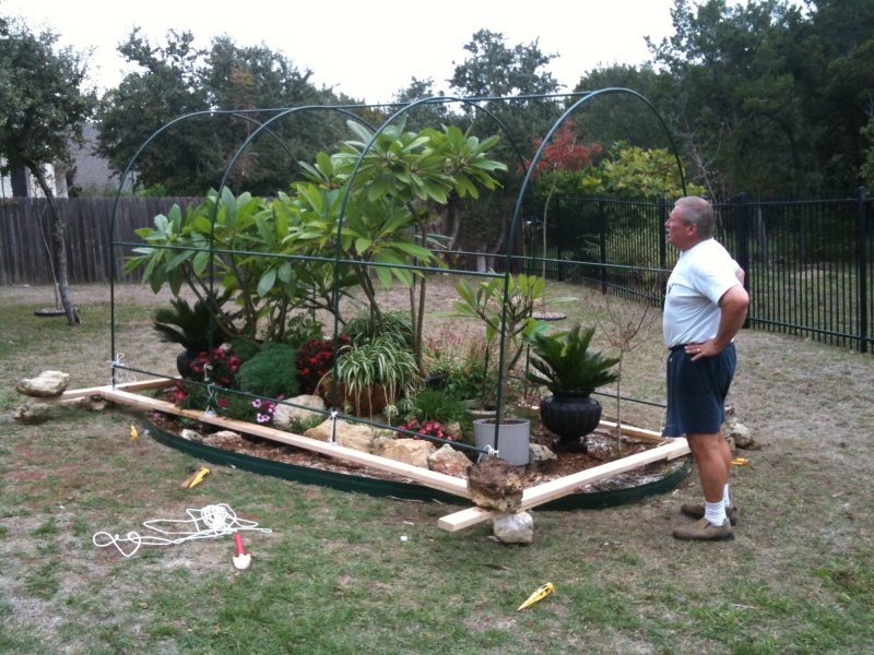 2009/11(Nov)/SETTING UP GREENHOUSE/2009-11-29-01 GREENHOUSE.jpg